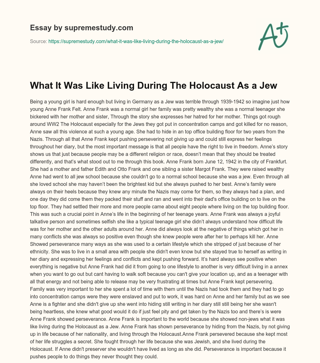 What It Was Like Living During The Holocaust As a Jew essay