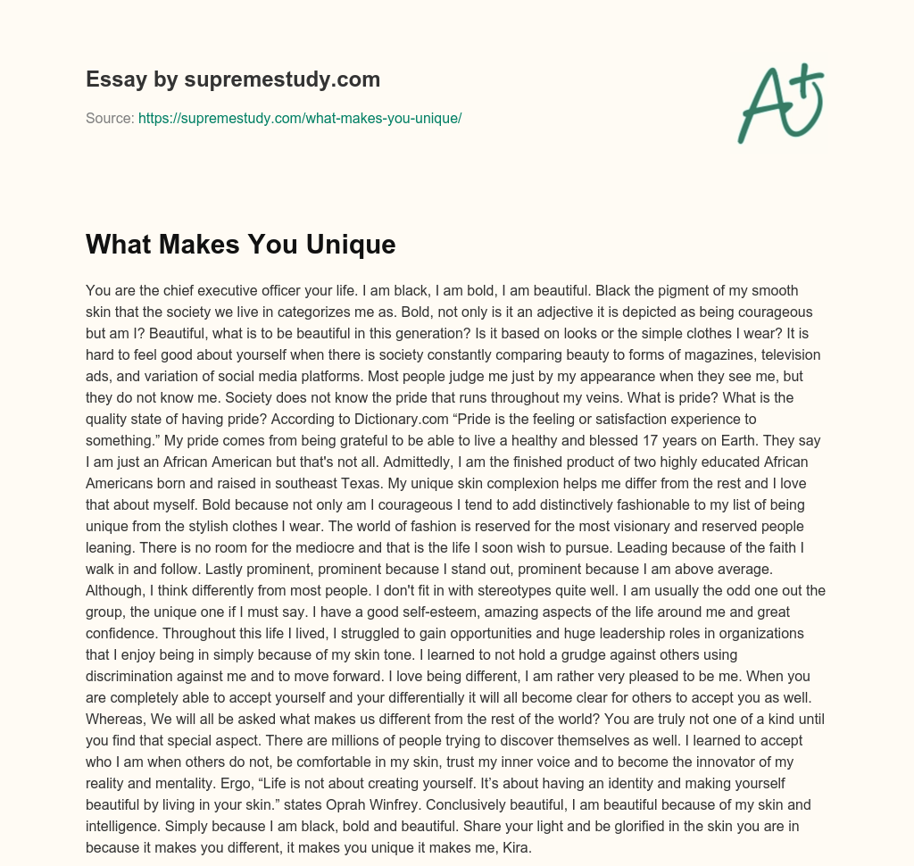 What Makes You Unique essay