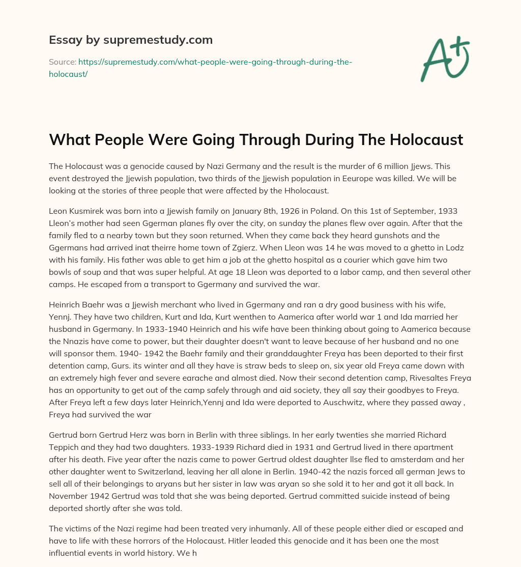 What People Were Going Through During The Holocaust essay
