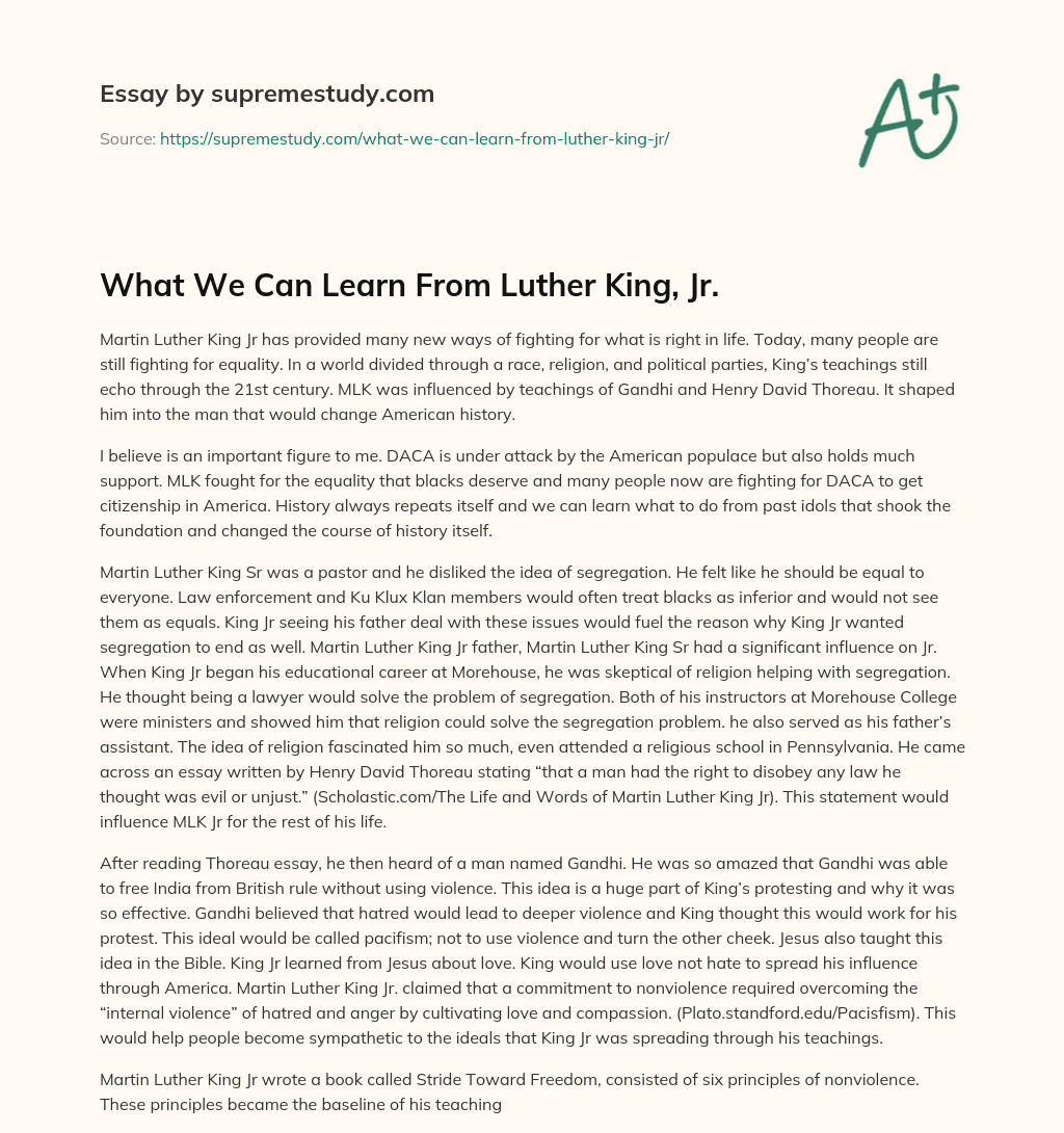 What We Can Learn From Luther King, Jr. essay