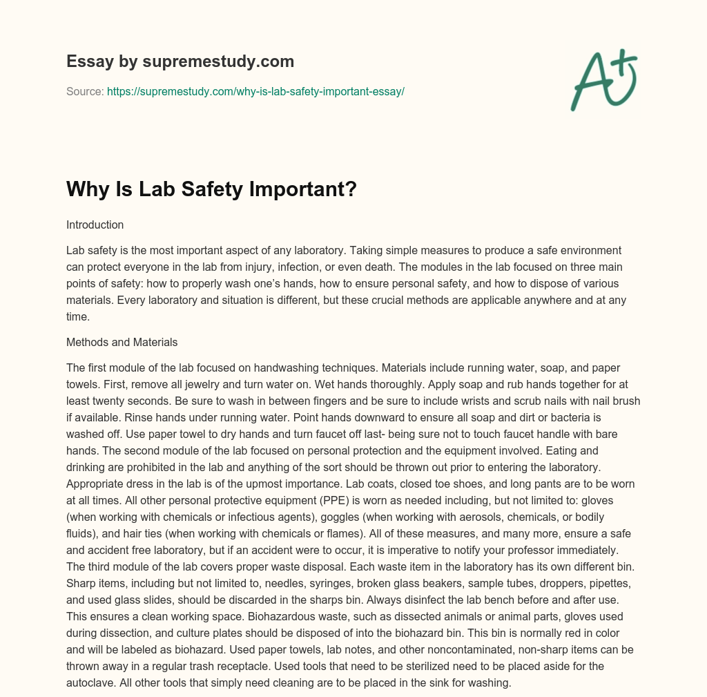 essay about lab safety