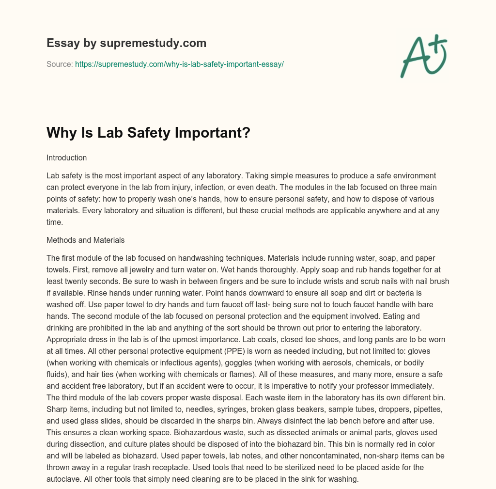 importance of laboratory safety essay