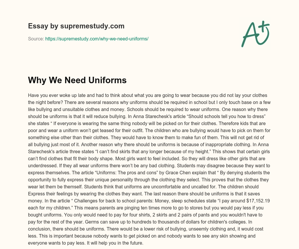 Why We Need Uniforms essay