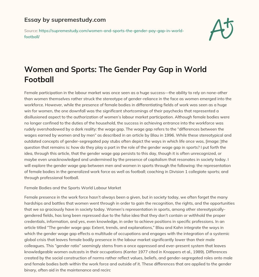 Women and Sports: The Gender Pay Gap in World Football essay