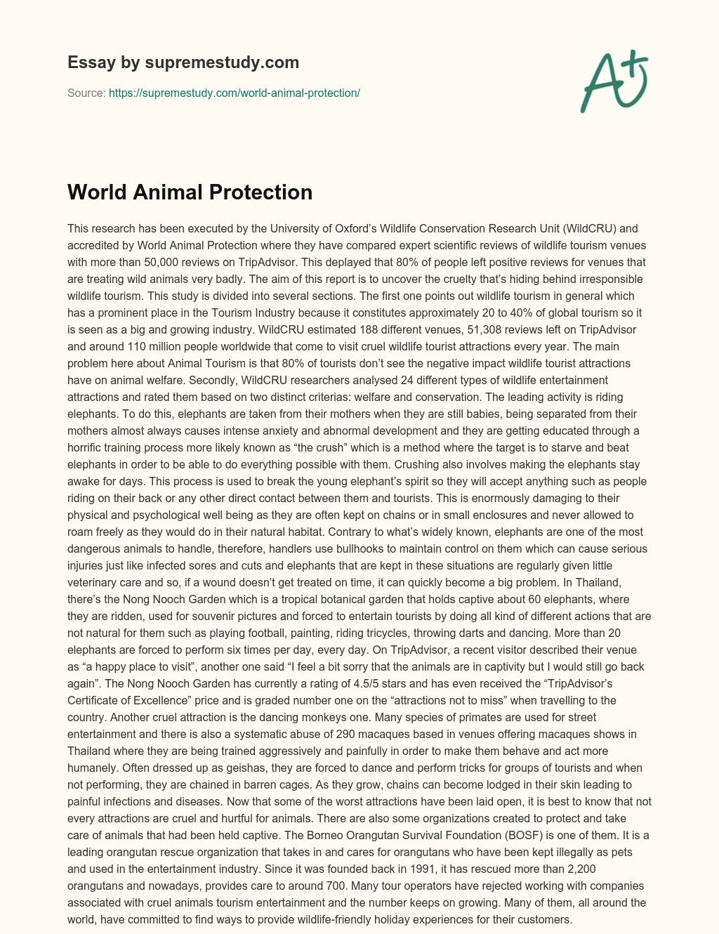 World Animal Protection essay